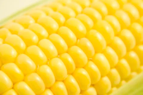Corn detail Foto stock