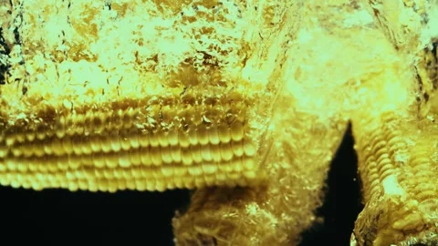 Corn Drops in Water in Slow Motion Stock Footage 300891074