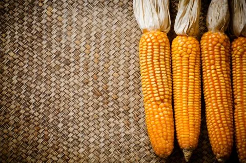 Corn dry on bamboo background Stock Photos