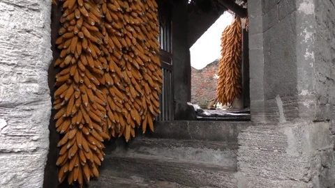 Corn Drying in Ancient Tunpu Village China 2 Video stock 73912495