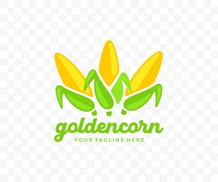 Corn, ear corn, corn cob, maize, food and meal, graphic design Stock Illustration