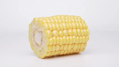 Corn ear is rotating on white background. Stock-Footage 158528757