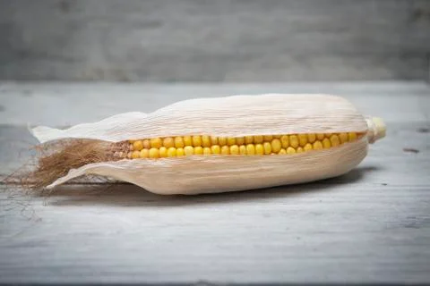 Corn ear on a wooden background. Stock Photos