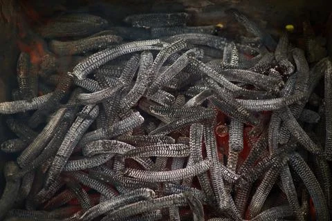 Corn ears in a barbeque fire pit close up texture Stock Photos
