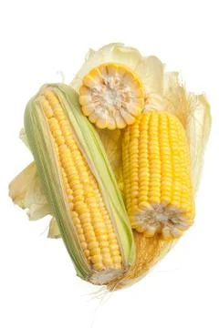 Corn ears isolated Foto stock