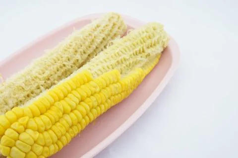 Corn eating and cob Stock Photos