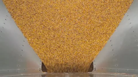 Corn Empties Completely - Hatch Shuts Видео 8985784