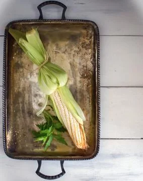 Corn with epazote branch 스톡 사진