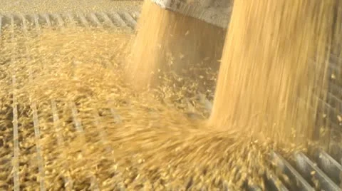 Corn at Ethanol plant Vídeo Stock 22214985