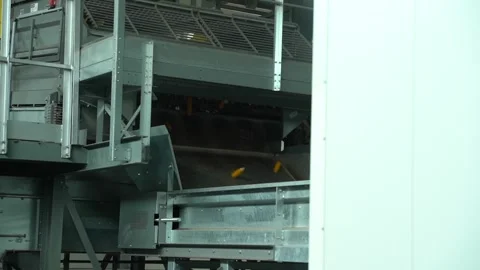 Corn fall down in huge conveyor in plant after the harvest HD footage slow mo Stock Footage 120388627