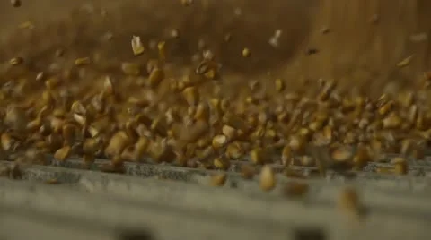 Corn falling at Ethanol factory Vídeo Stock 22215300