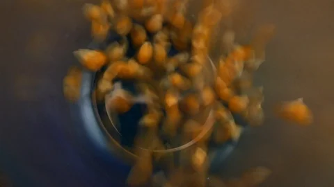 Corn falling in Glass, Glass background 스톡 동영상 125747942