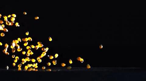 CORN FALLING IN SLOW MOTION Stock Footage 25271204