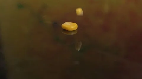 Corn Falling in Slow Motion Video stock 62598111