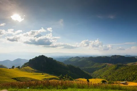 Corn farm in front of landscape view green mountain Stock Photos