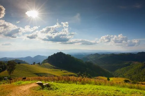 Corn farm in front of landscape view green mountain Stock Photos