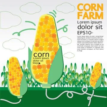Corn farm illustration vector.EPS10 Stock Illustration