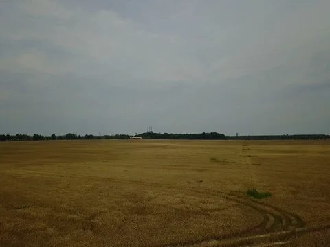 Corn field aerial view Stock Footage 84861408