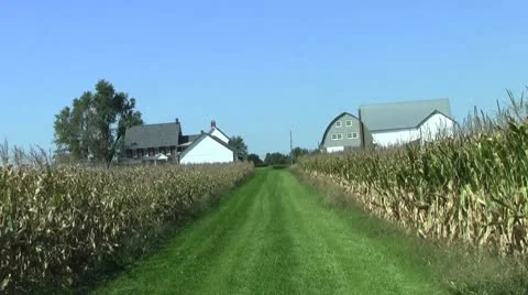 Corn field and barn Stock Footage