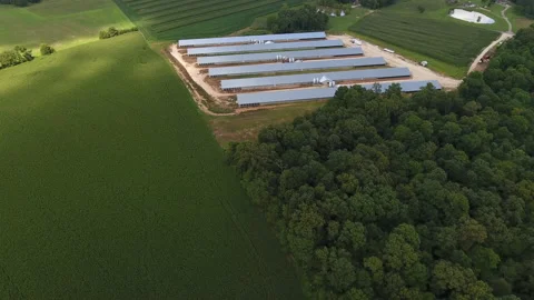 Corn field and chicken farm drone Video stock 137619966