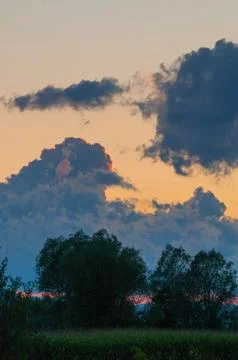 Corn field and evening cloudscape in background Stock Photos