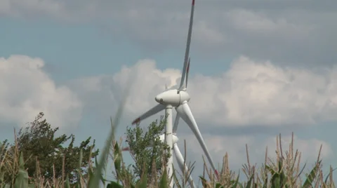 Corn field and wind power - HD Stock Footage 28544117