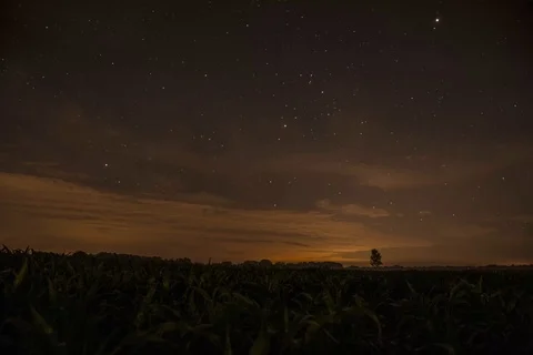 Corn Field Astral Timelapse 動画素材 102290039