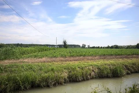 Corn field behind a ditch Stock Photos