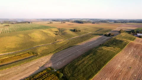 Corn field, drone view. Farm field on sunset. Rural landscape, aerial view. Video stock 269355284