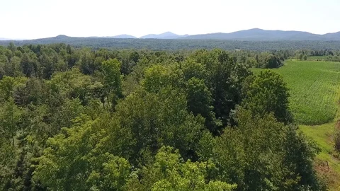 Corn field fly in from the left at 150 ft aerial mid altitude view. Video stock 113880625