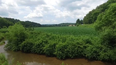Corn field flyover 04 Stock-Footage 92689196