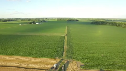 Corn Field Flyover Stock Footage 329613377