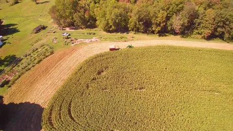 Corn field Stock Footage 86074451