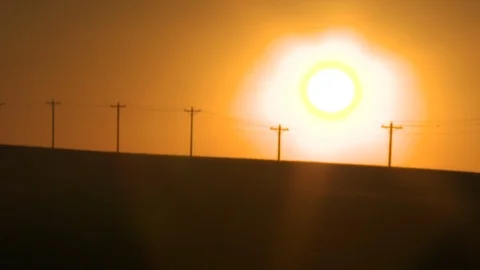 Corn Field Stock Footage 123913339