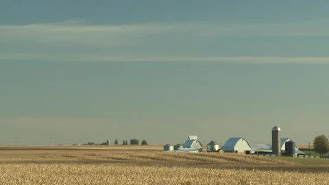 Corn Field Stock Footage 123913379