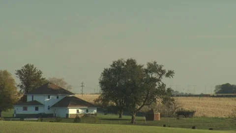 Corn Field Stock Footage 123913446