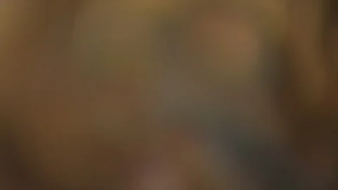 Corn Field Stock Footage 123914096