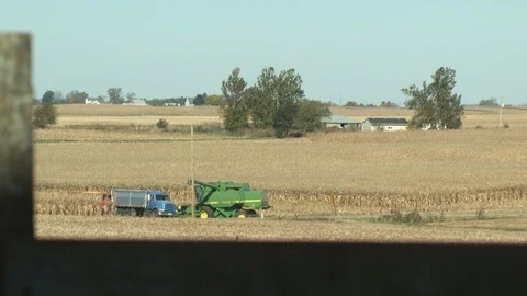 Corn Field Stock Footage 123914565