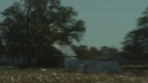 Corn Field Stock Footage 123915064