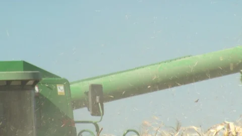 Corn Field Stock Footage 123915107