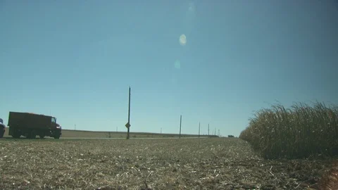 Corn Field Stock Footage 123915258