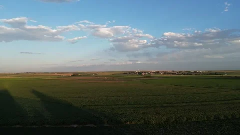 Corn Field Stock Footage 247835696