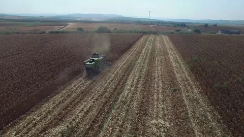 Corn field harvest from the air Stock Footage 79109754