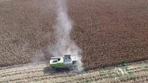 Corn field harvest ariel Stock Footage 79110665