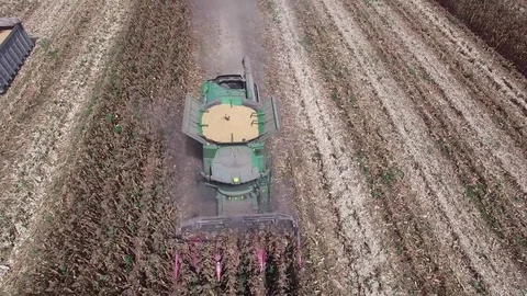 Corn field harvest combane Aerial Stock Footage 79109702