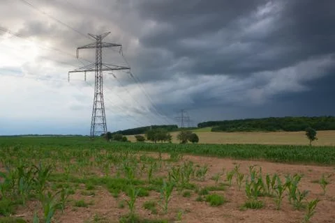 The corn field before heavy storm 库存照片