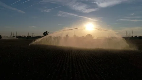Corn field irrigation during sunset Stock-Footage 126180221
