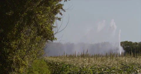 Corn Field Irrigation System Stock Footage 249757922