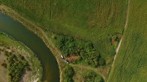 Corn field landing Stock Footage 244995548