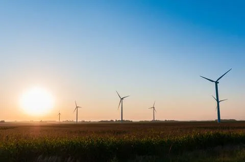 A corn field with large wind turbines against a blue sky at sunset, Dexter, M Stock Photos